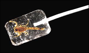 Scorpion lolly